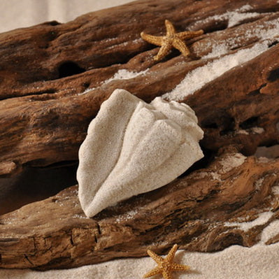 Conch Shell Sand Magnet (#135) - The Sand Store - By Creative Artworks
