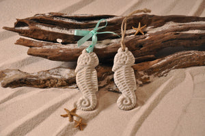 SEAHORSE ORNAMENT, SEAHORSE SAND ORNAMENT, TROPICAL SEASIDE ORNAMENT, COASTAL BEACH GIFT, MADE IN FLORIDA, BEACH LOVER GIFTS, BEACH SAND KEEPSAKES, VACATION SOUVENIR, GIFT SHOP OWNERS, PROMOTIONAL ITEMS, PARTY FAVOR, SPECIAL EVENT, COLLECTIBLES, HAND-CRAFTED, FUNDRAISER, BRIDAL SHOWER FAVORS, DESTINATION WEDDING, BEACH WEDDING FAVORS