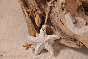 STARFISH ORNAMENT, STARFISH SAND ORNAMENT, STARFISH, TROPICAL SEASIDE ORNAMENT, COASTAL BEACH GIFT, MADE IN FLORIDA, BEACH LOVER GIFTS, BEACH SAND KEEPSAKES, VACATION SOUVENIR, GIFT SHOP OWNERS, PROMOTIONAL ITEMS, PARTY FAVOR, SPECIAL EVENT, COLLECTIBLES, HAND-CRAFTED, FUNDRAISER, BRIDAL SHOWER FAVORS, DESTINATION WEDDING, BEACH WEDDING FAVORS